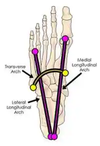 Pain in the arch of the foot can be seen like an impossible obstacle, but we can overcome it 