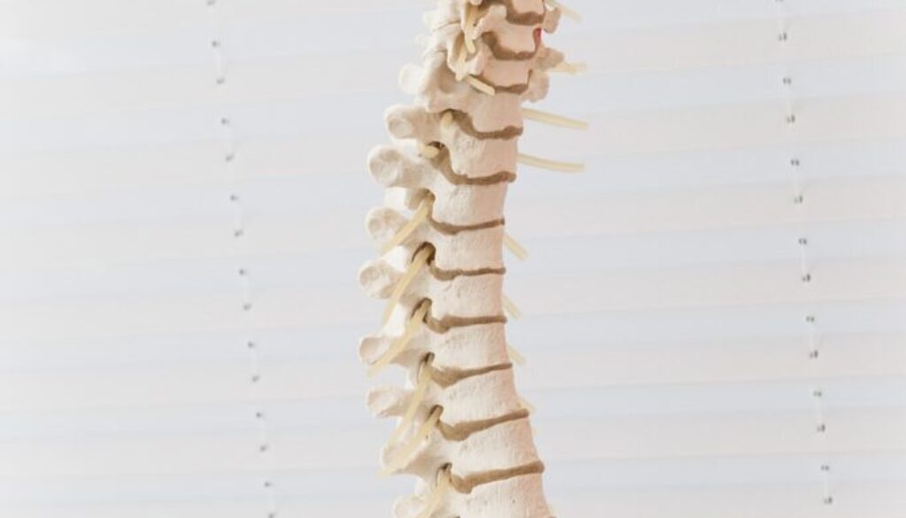 Vancouver Chiropractor Talks about the Importance of Maintaining Spine Health for Overall Wellness